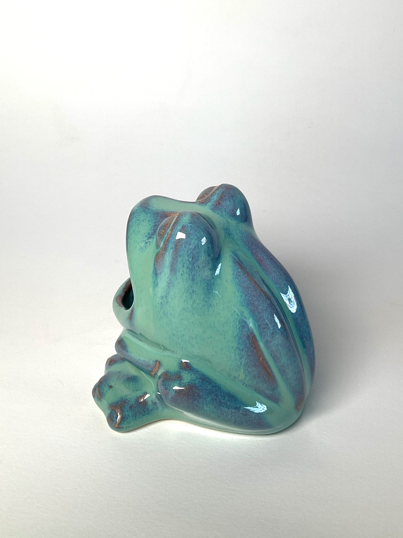 Frog Sponge Holder 🐸