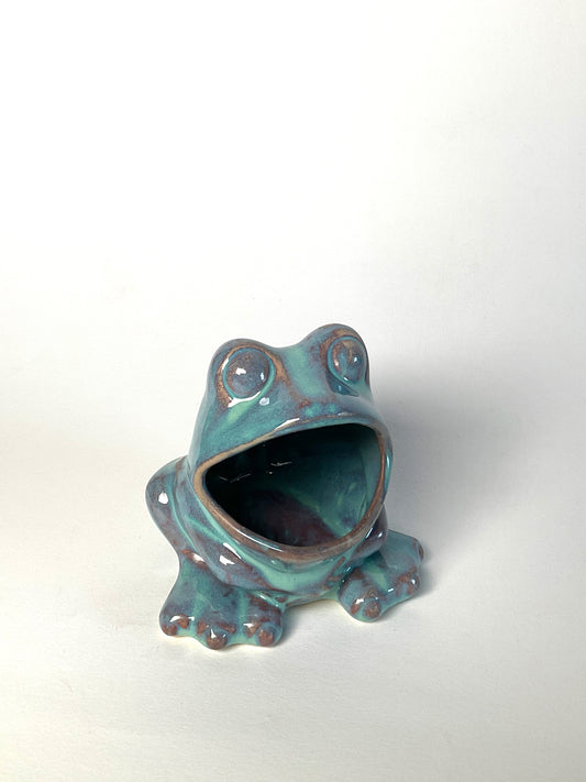 Frog Sponge Holder 🐸